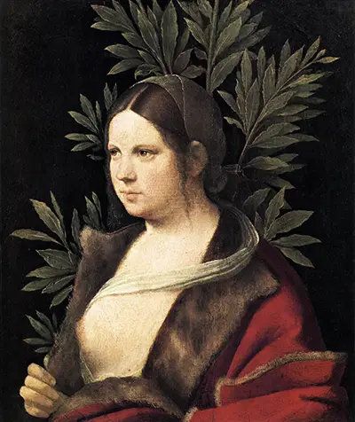 Laura Giorgione